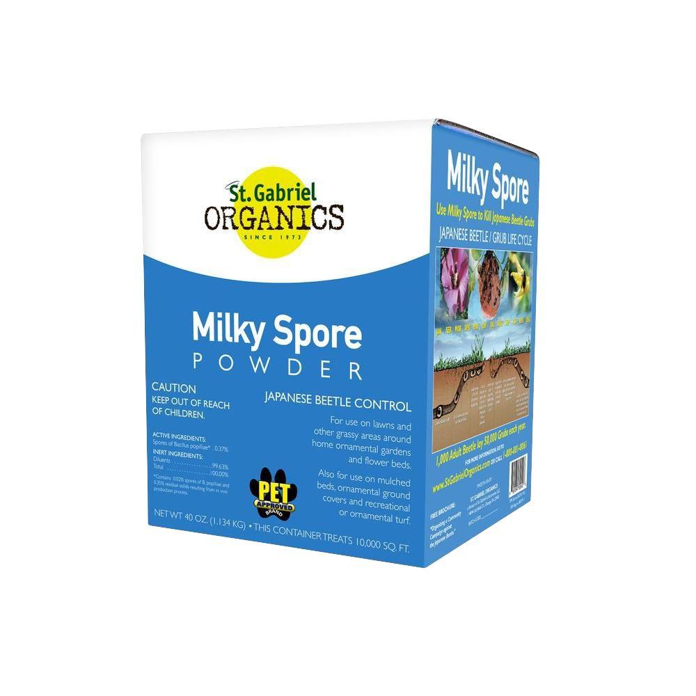 when to apply milky spore