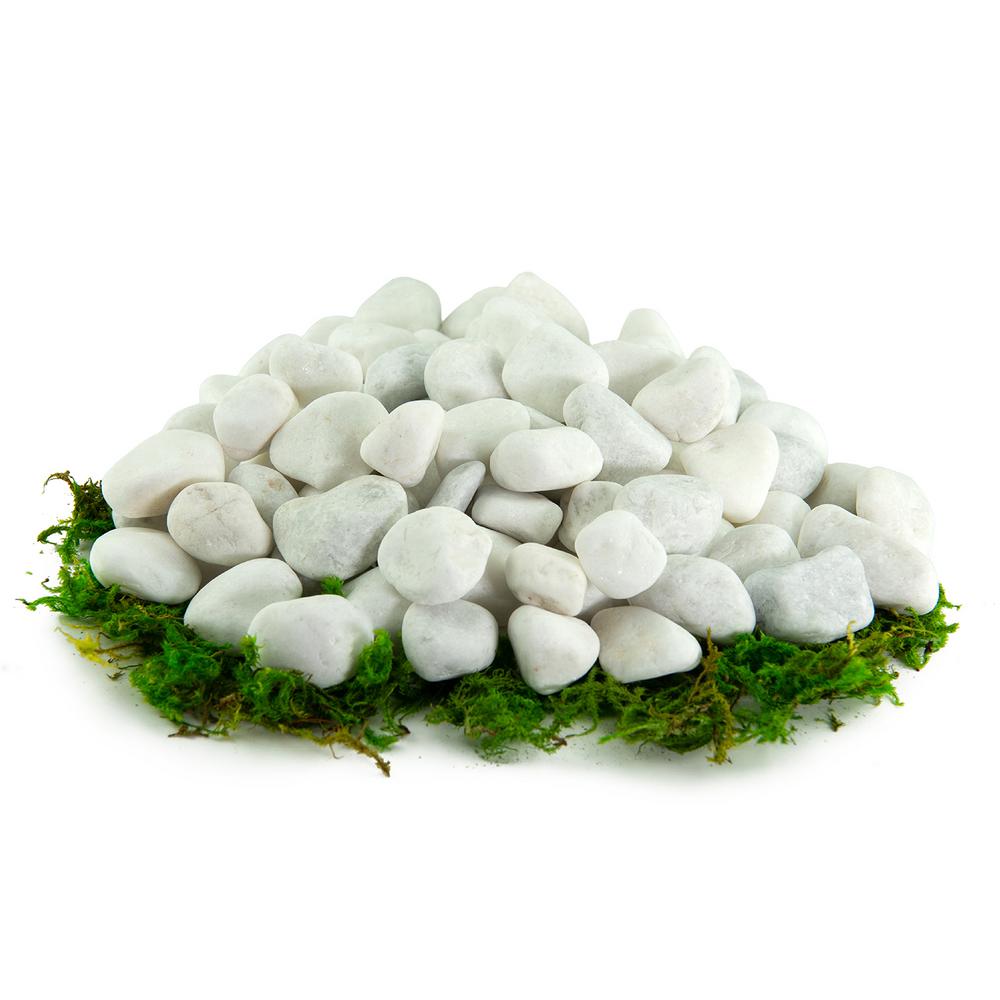 white pebbles bulk