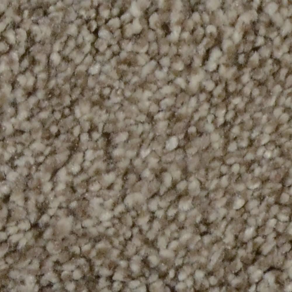 Lifeproof Carpet Sample Sandy Beach Ii Color Hammock Texture 8 Lifeproof Carpet Sample Sandy Beach Ii Color Hammock Texture 8 In X