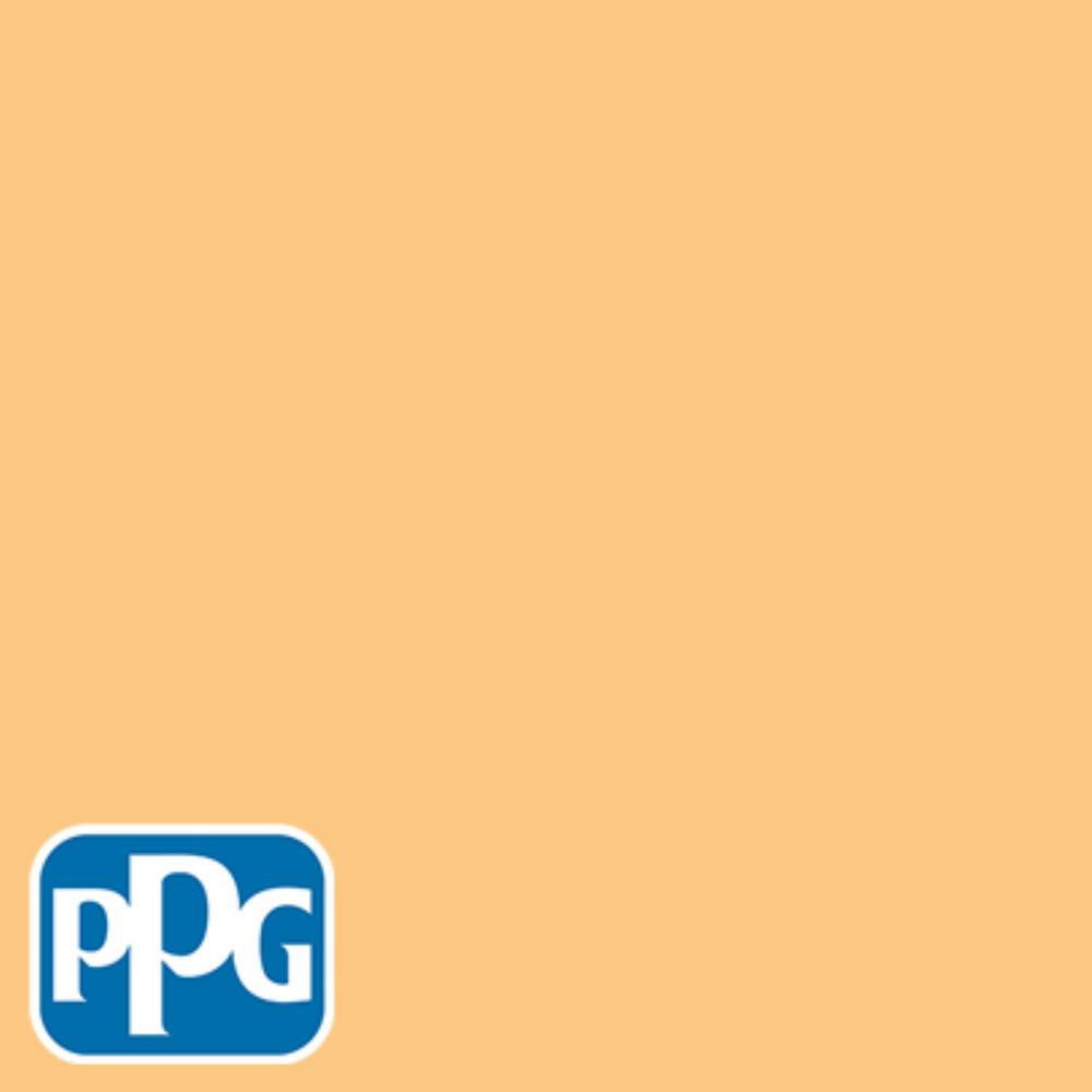 Ppg Timeless 8 Oz Hdppgo54u Pale Orange Flat Interior Exterior Hdppgo54u Pale Orange Flat Interior Exterior Paint Sample