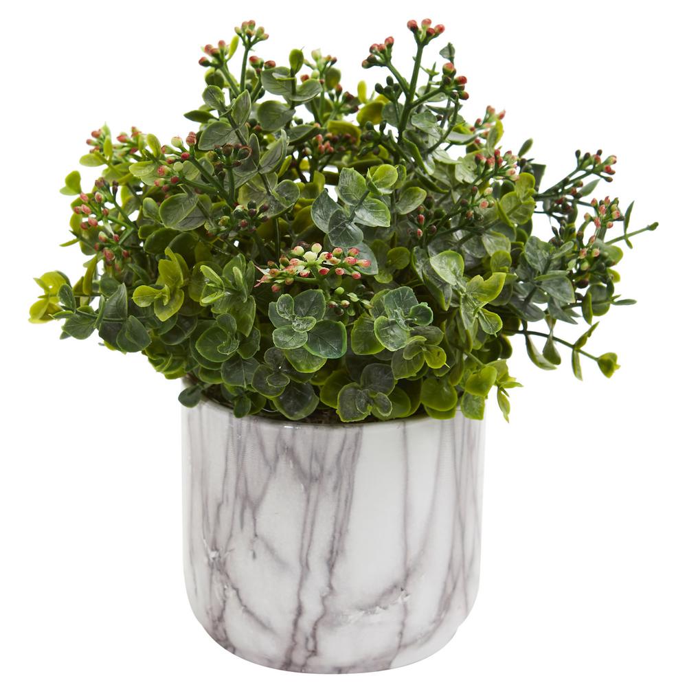 Eucalyptus plant home depot Idea