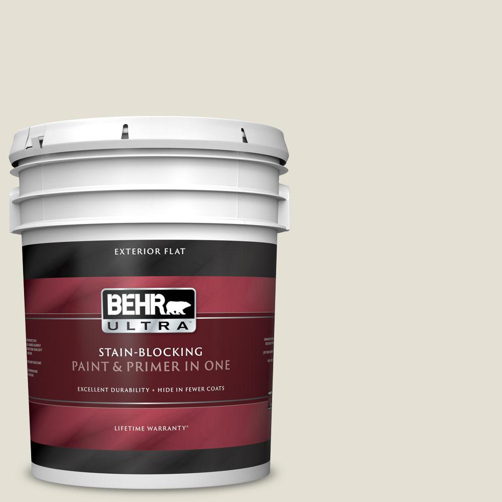 Behr Ultra 5 Gal N310 1 Sand Drift Flat Exterior Paint And Primer In One 485005 The Home Depot