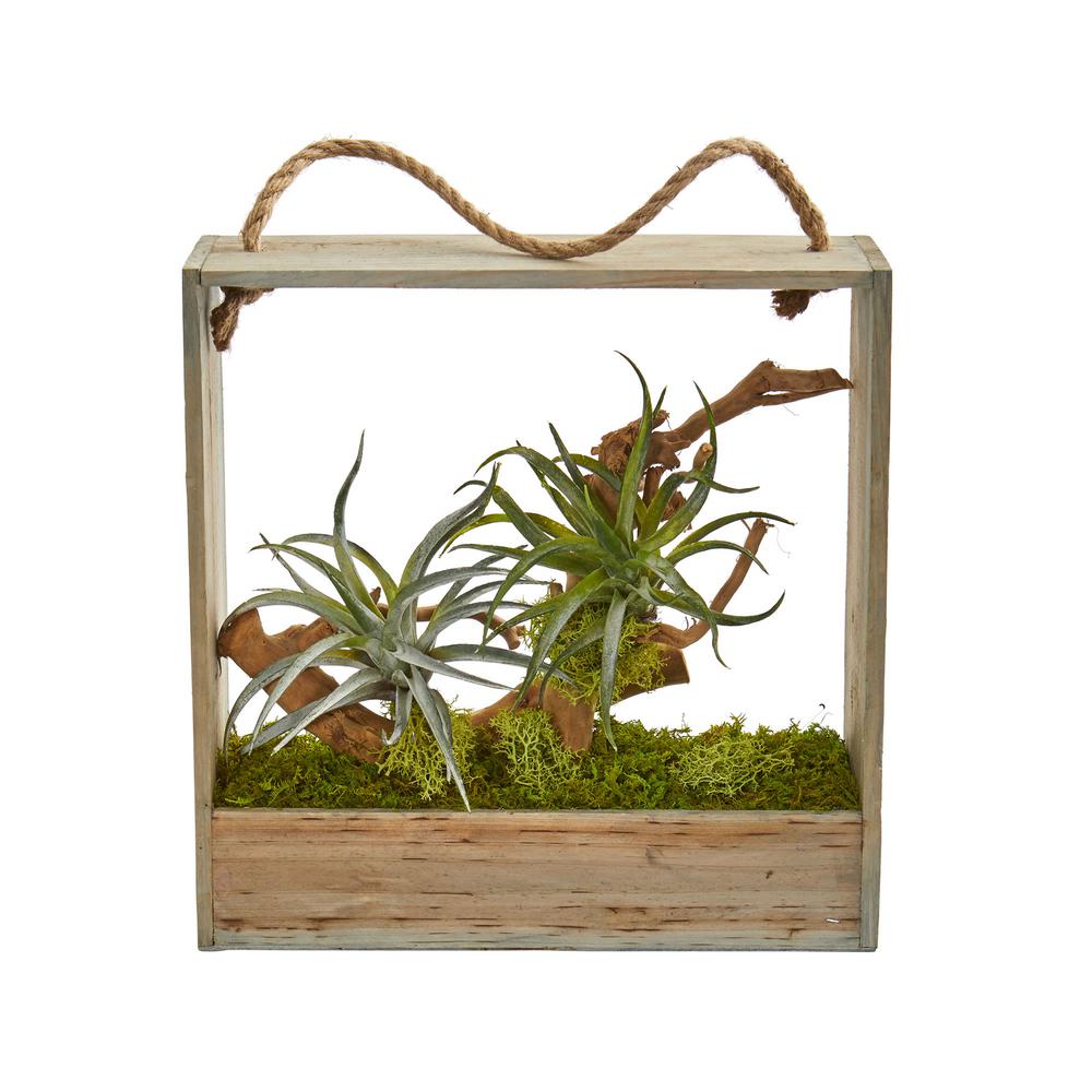 Nearly Natural Indoor Air Plant Artificial Succulent In Decorative Nearly Natural Indoor Air Plant Artificial Succulent In Decorative Hanging Frame 8368 The Home Depot