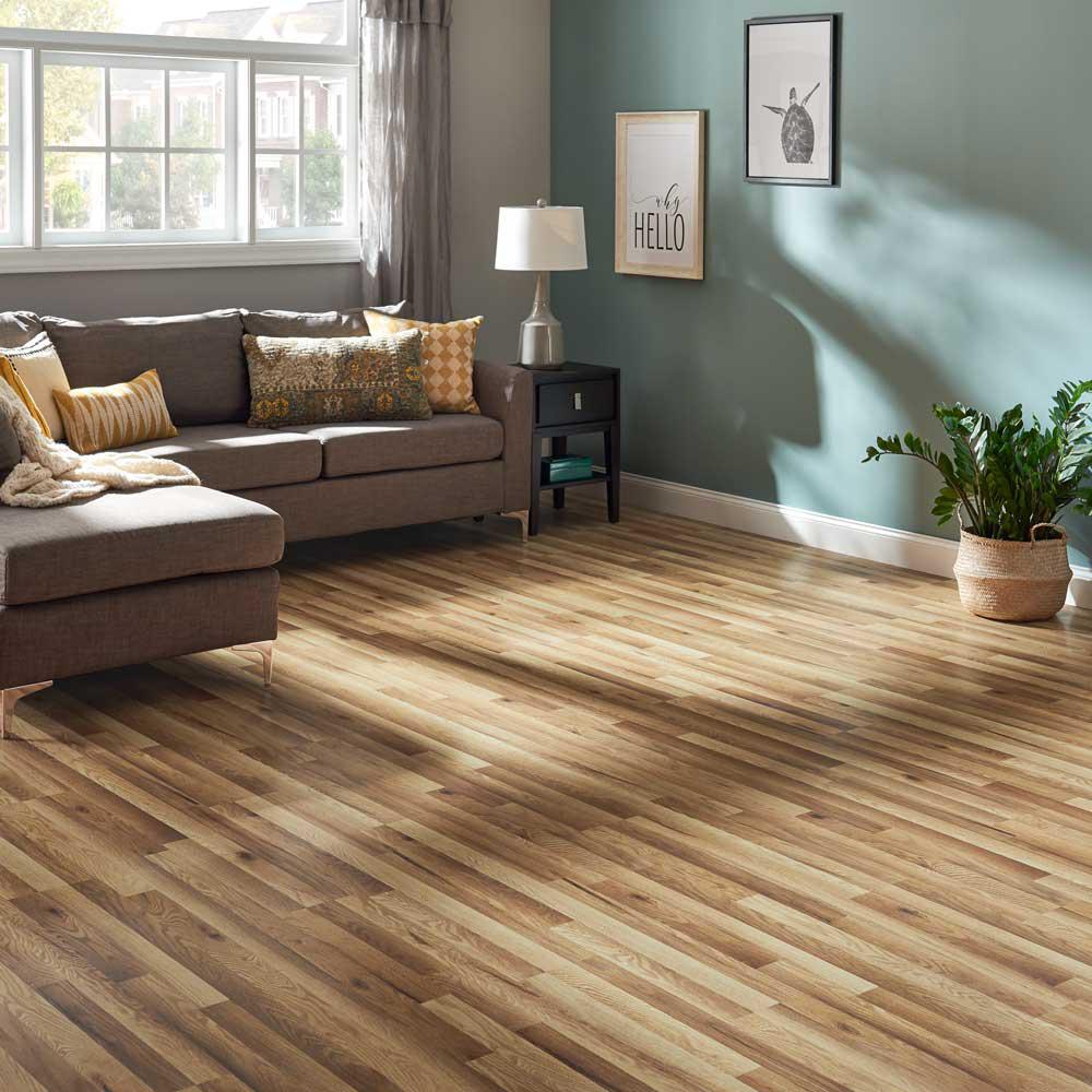 Pergo Xp Haley Oak 8 Mm T X 7 48 In W 47 24 L Laminate Pergo Xp Haley Oak 8 Mm T X 7 48 In W