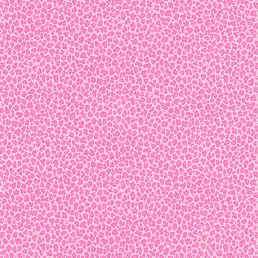 pink cheetah wallpaper (72+ images) on pink cheetah print wallpapers