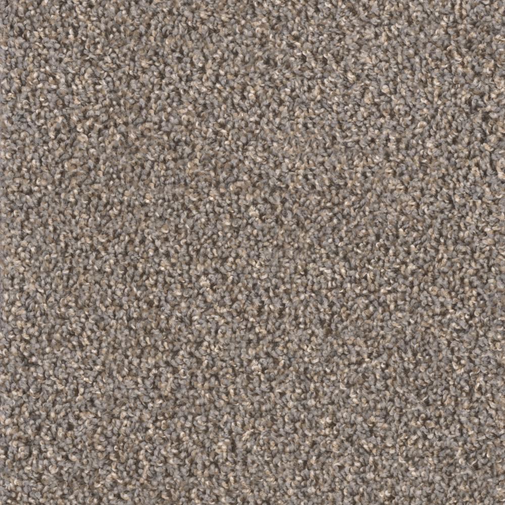 TrafficMASTER Reed Piper Color Dunlin Texture 12 ft. CarpetH51414471200 The Home Depot