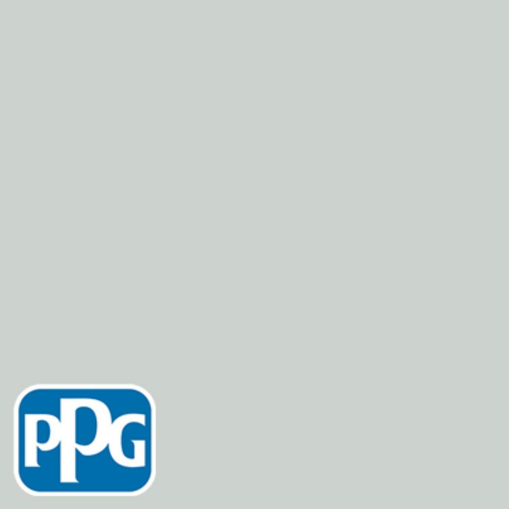 Ppg Timeless 8 Oz Hdppgcn10d Misty Grey Green Flat Interior Hdppgcn10d Misty Grey Green Flat Interior Exterior Paint Sample