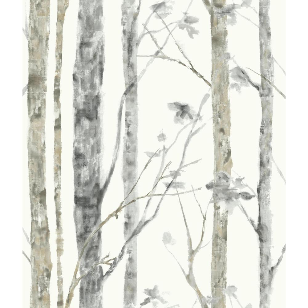 Nuwallpaper Multi Color Birch Tree Wallpaper Nu1650 The Home Depot