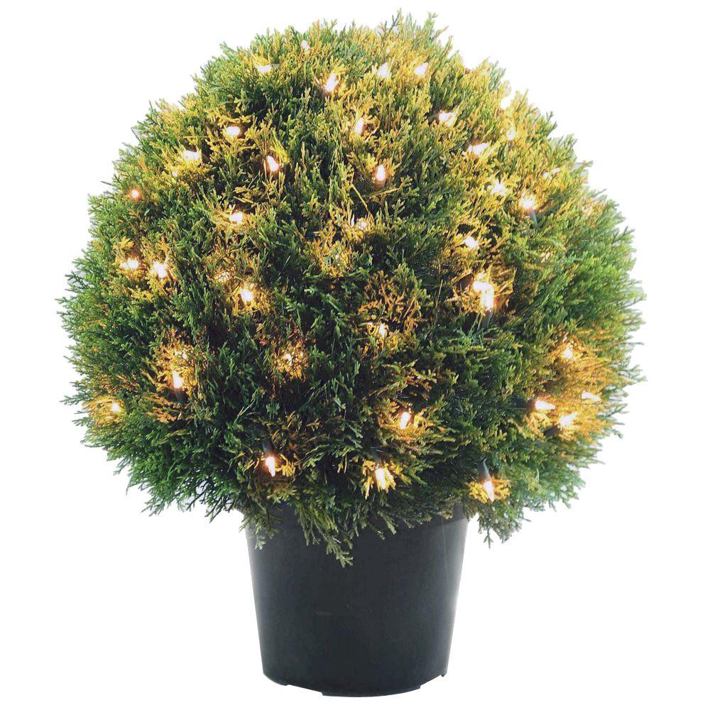 National Tree Company 24 In Cedar Pine Topiary With Round Green Cedar Pine Topiary With Round Green Growers Pot 100 Clear Lights Lcpt4 304 24 The Home Depot