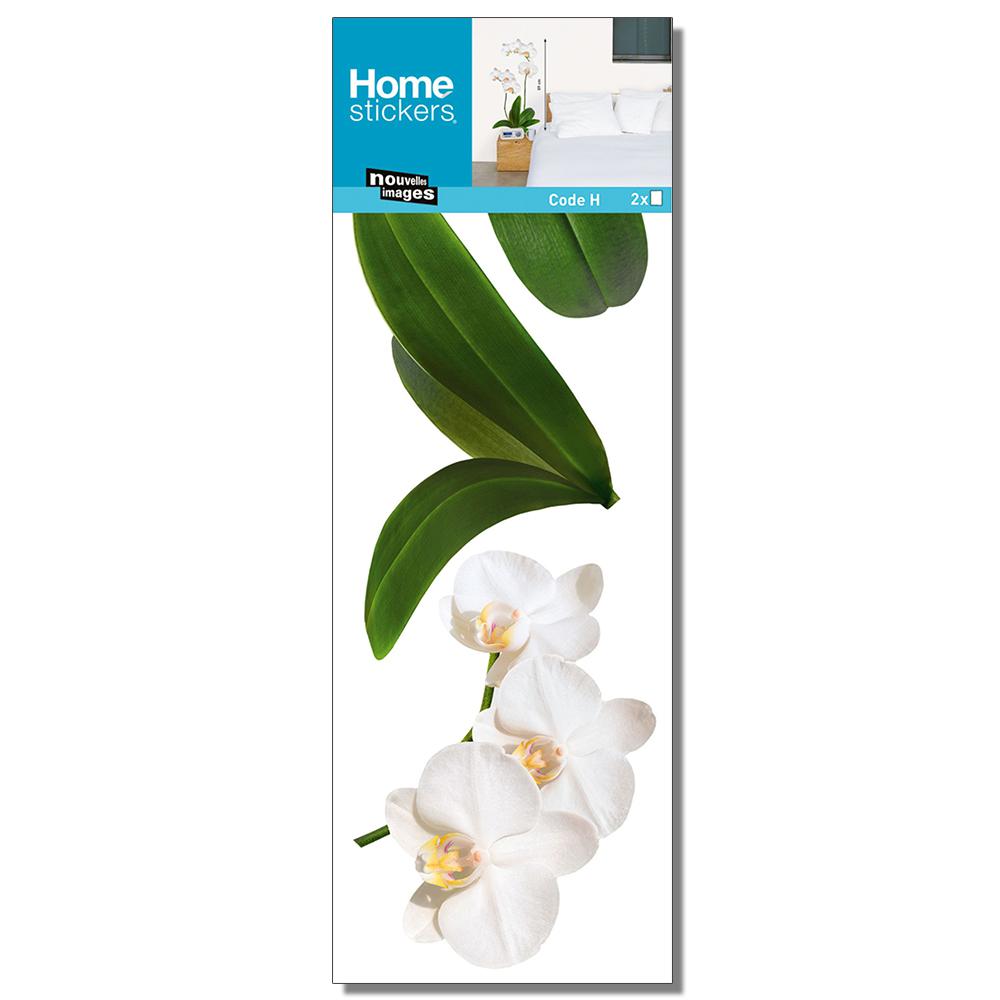 Nouvelles Images Multicolor White Orchid/Mini Home StickerHOST 1933