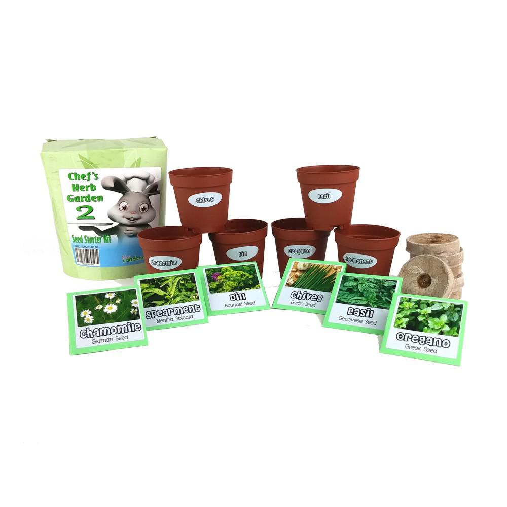 Kitchen Garden Chefs Herb Garden 2 Seed Starter KitCHG21017 The Home