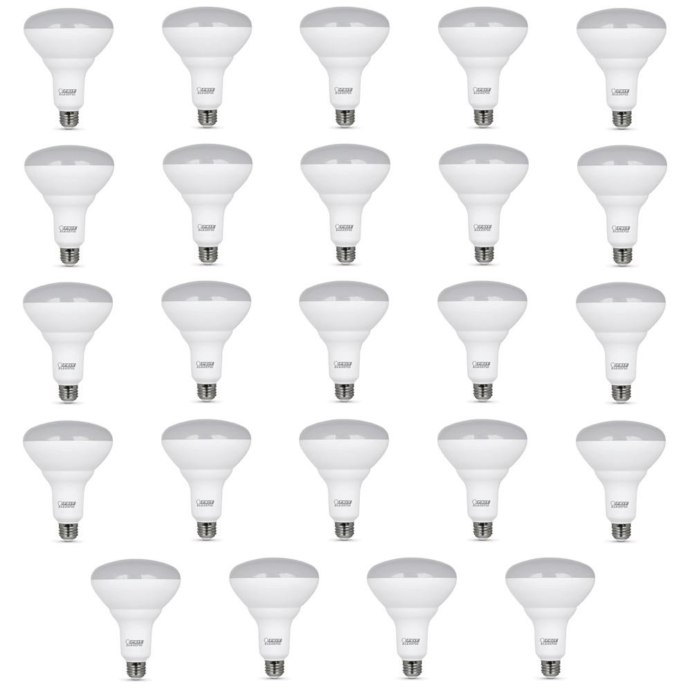 Feit Electric 65-Watt Equivalent (5000K) BR40 Dimmable LED Light Bulb ...