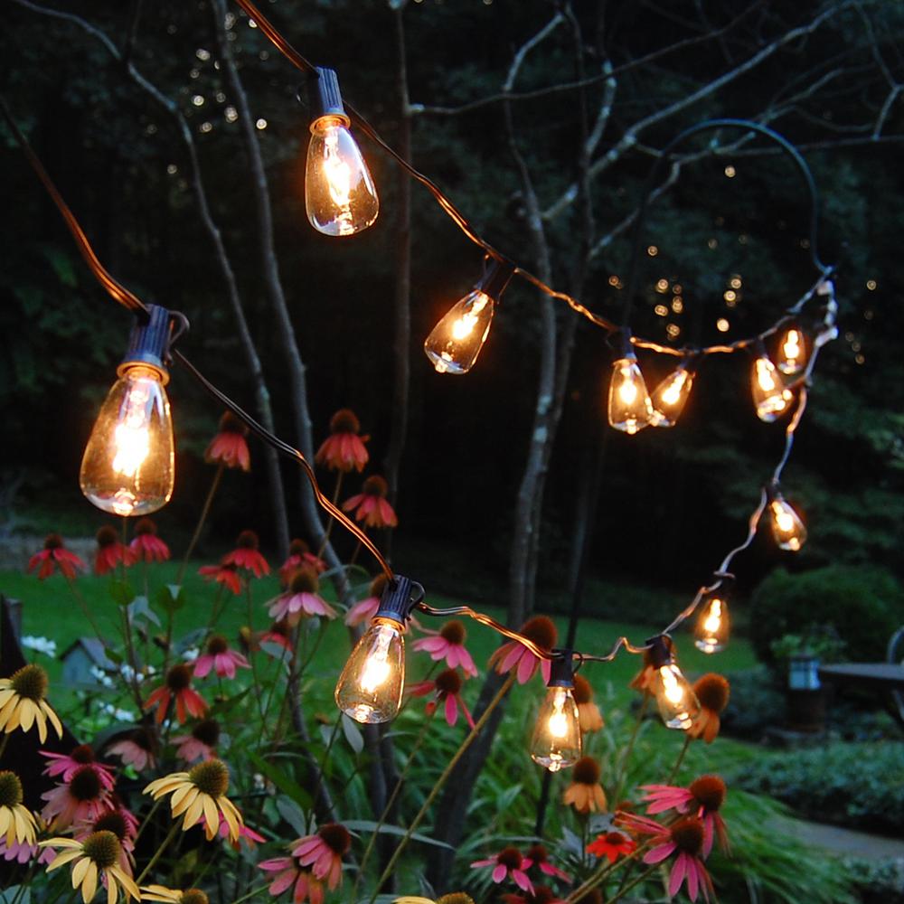 Lumabase Light Edison Bulb String Lights In Clear 10 Pack 39201 Edison Bulb String Lights In Clear