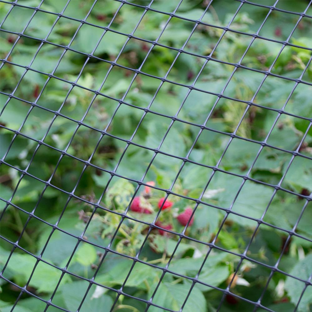 Easy Gardener 6050 Deerblock 7 By 100 Foot Netting Fasci Garden