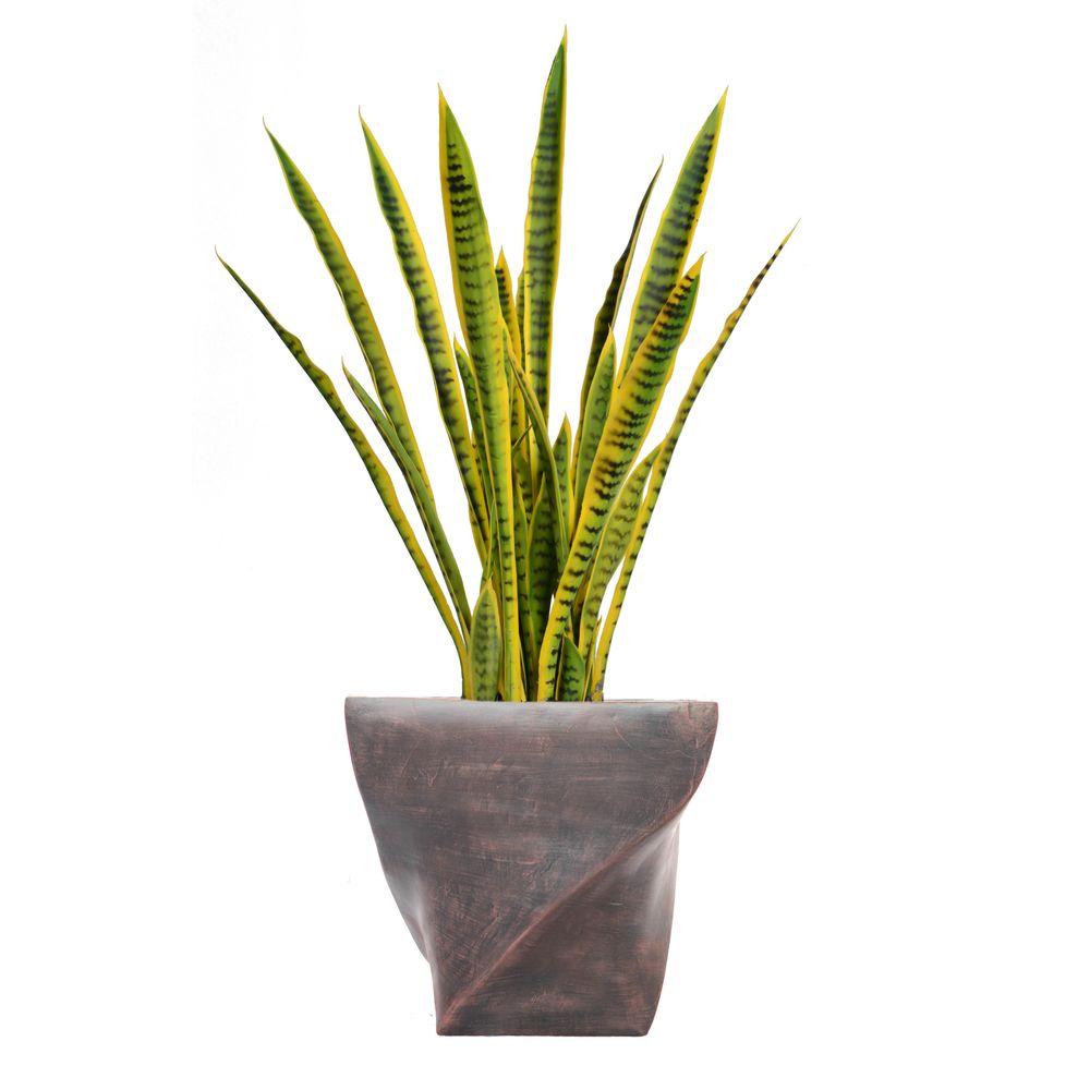 Laura Ashley 45 in. Tall Snake Plant in Planter VHX121203