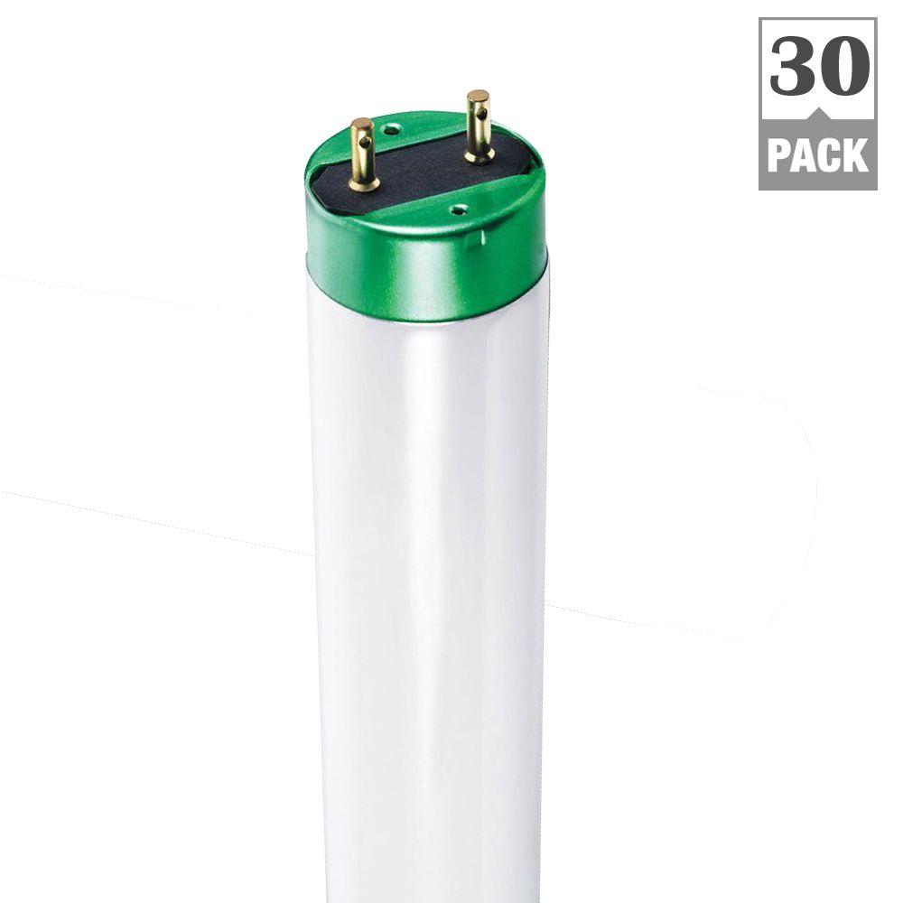 Philips 32Watt 4 ft. Cool White Linear T8 Fluorescent Light Bulb (30Pack)479733 The Home Depot