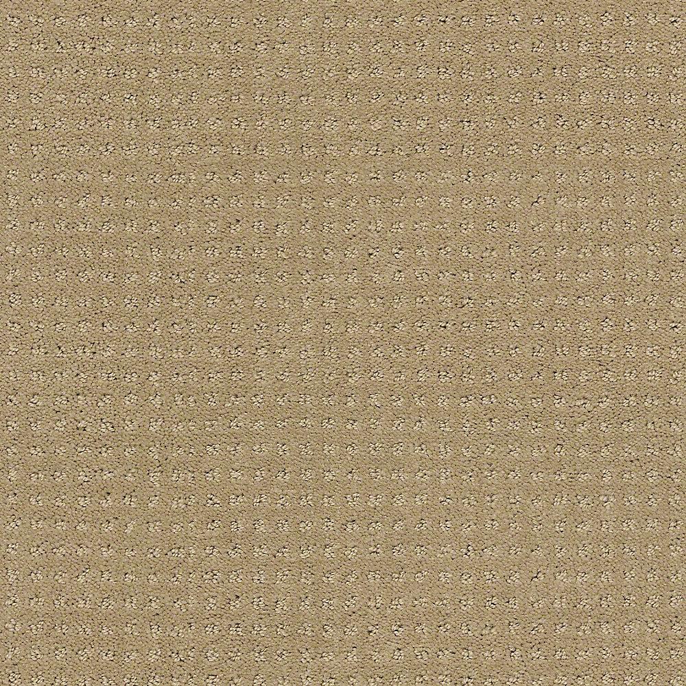  Home  Decorators  Collection  Carpet  Sample Sand Piper  