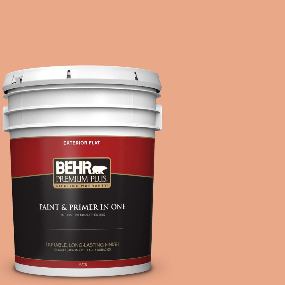 BEHR Premium Plus 5gal. 240D4 Ceramic Glaze Flat Exterior Paint