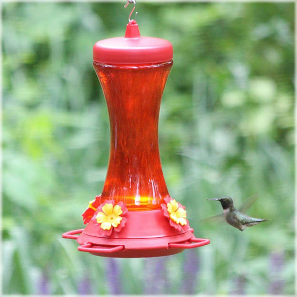 Perky Pet Adjustable Perch Glass Hummingbird Feeder 20 Oz Capacity 476 3 The Home Depot - Red Glass Hummingbird Feeder With Perch Perky Pet Adjustable Perch Glass Hummingbird Feeder 20 Oz Capacity 476 3 The Home Depot - Red Glass Hummingbird Feeder With Perch