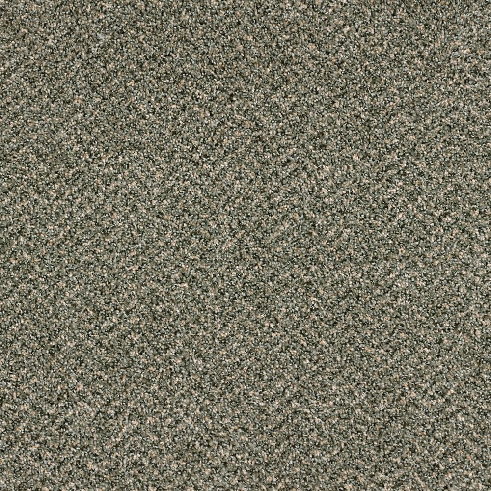 Hypoallergenic Indoor Carpet Carpet The Home Depot