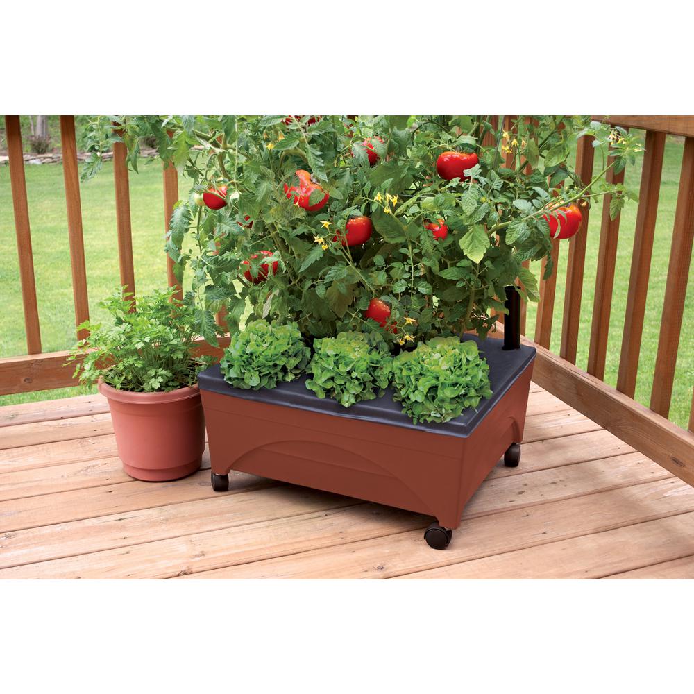 City Pickers 24 5 In X 20 5 In Patio Raised Garden Bed Grow Box