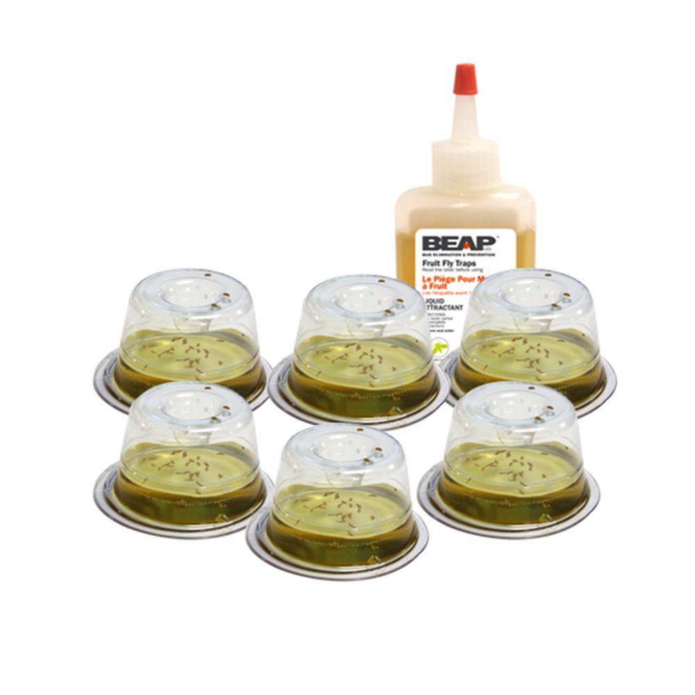 BEAPCO Drop-Ins Fruit Fly Traps (6-Pack) by BEAPCO