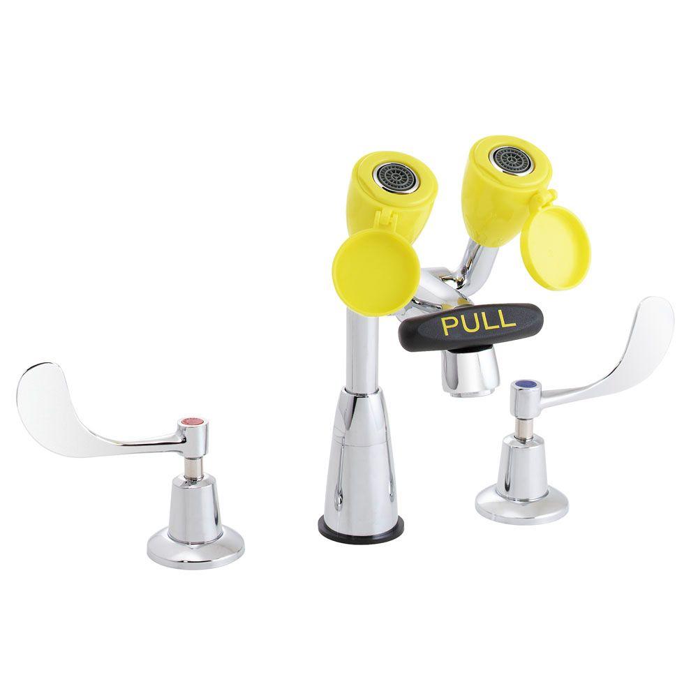 Speakman Eyesaver Lead free Eyewash FaucetSEF1800CA The Home Depot