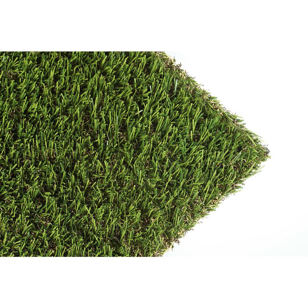 Astrolawn Lozano 15 Ft W X Cut To Length Field Green Artificial Grass Lo1008215uj1500 The Home Depot