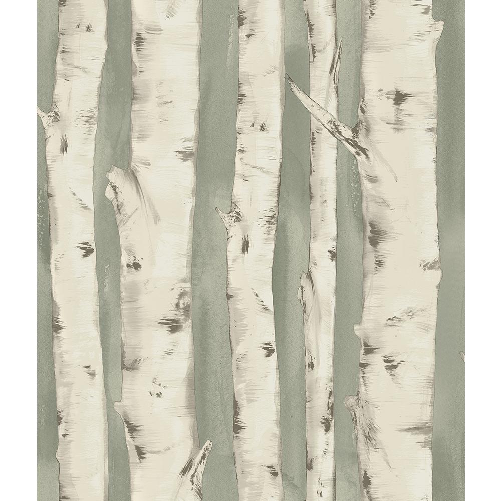 56 4 Sq Ft Pioneer Sage Birch Tree Wallpaper
