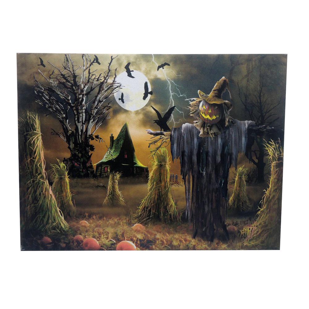  Home Accents Holiday 20 in x 15 in Scarecrow LED Canvas 