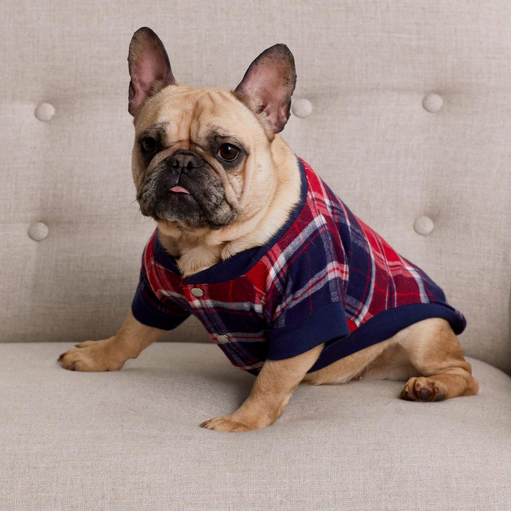 extra small dog pajamas