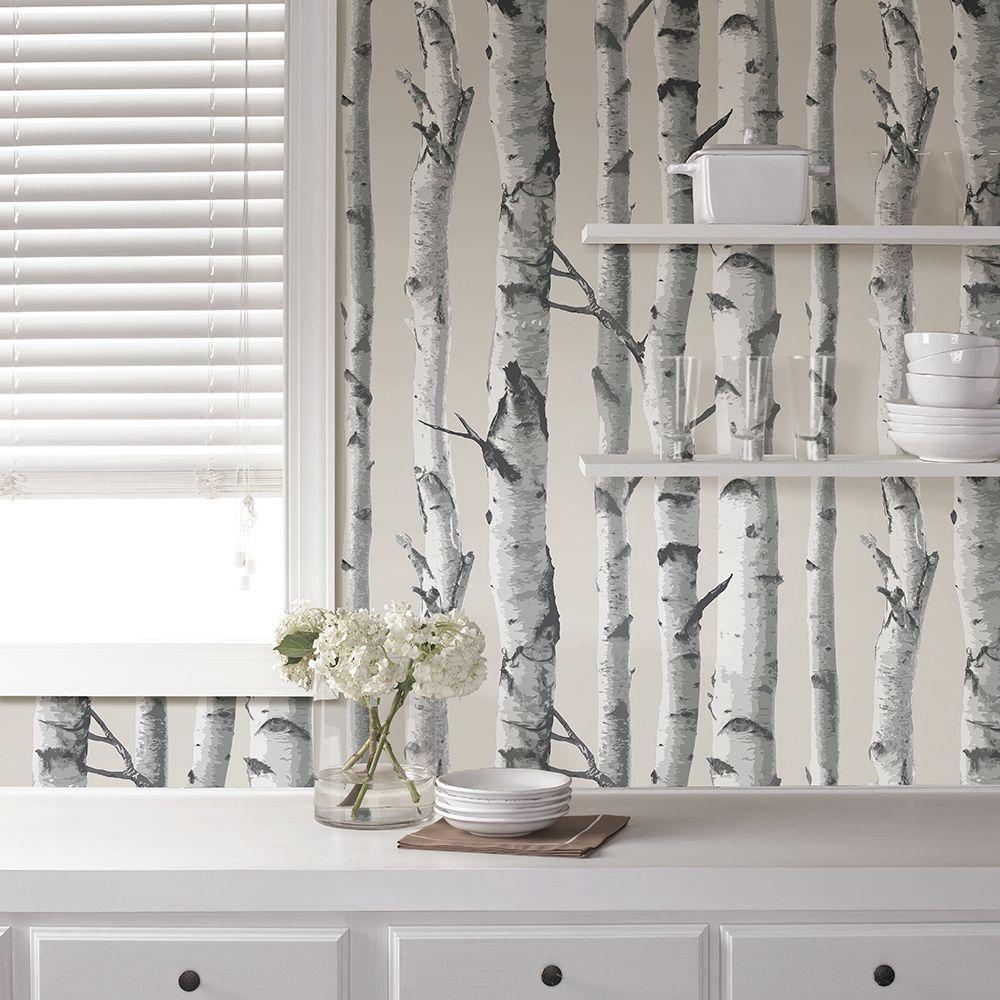 Nuwallpaper Multi Color Birch Tree Wallpaper Nu1650 The