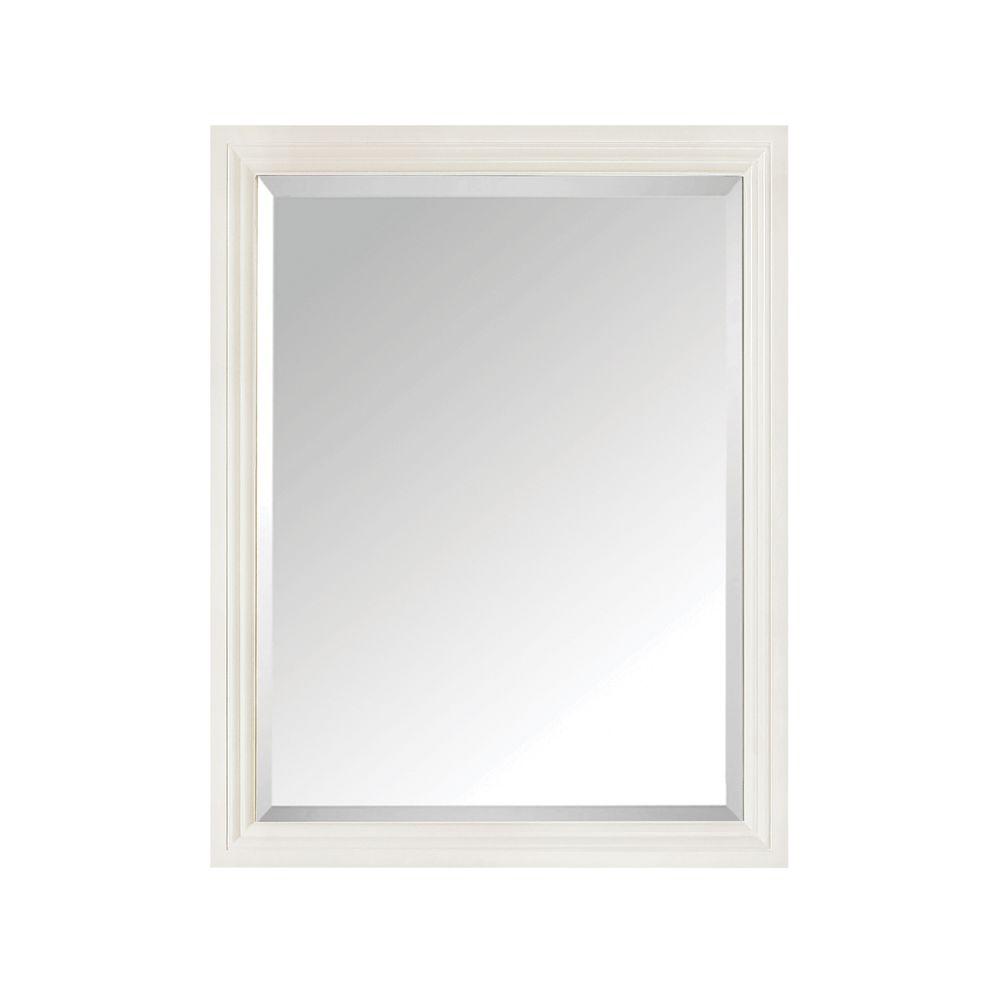 Avanity Thompson 24 In W X 30 H Single Framed Mirror Customer Reviews