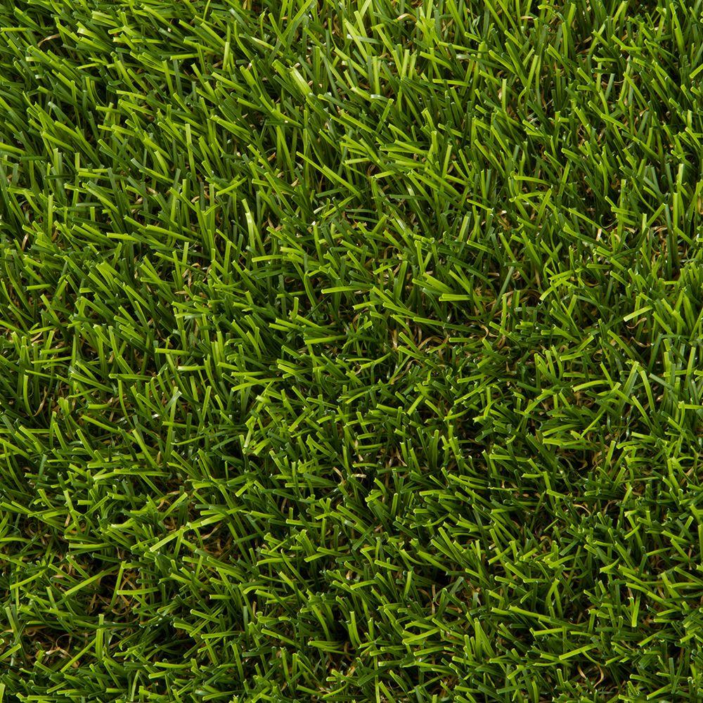 Astrolawn Bonita Artificial Grass Synthetic Lawn Turf Sold By 15 Ft Wide X Customer Length 