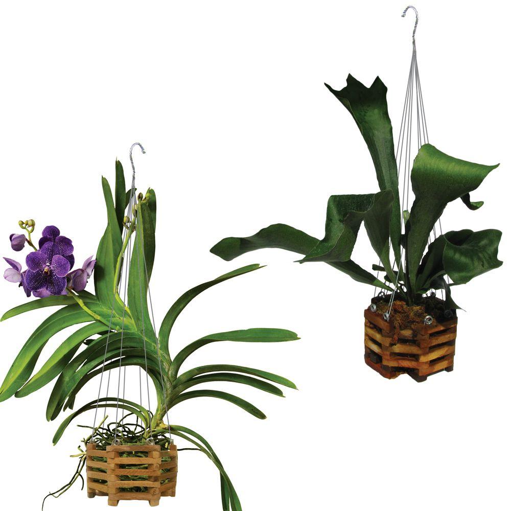 Wooden Octagon 10" Hanging Baskets (2Pcs) Outdoor Orchid Holder Garden