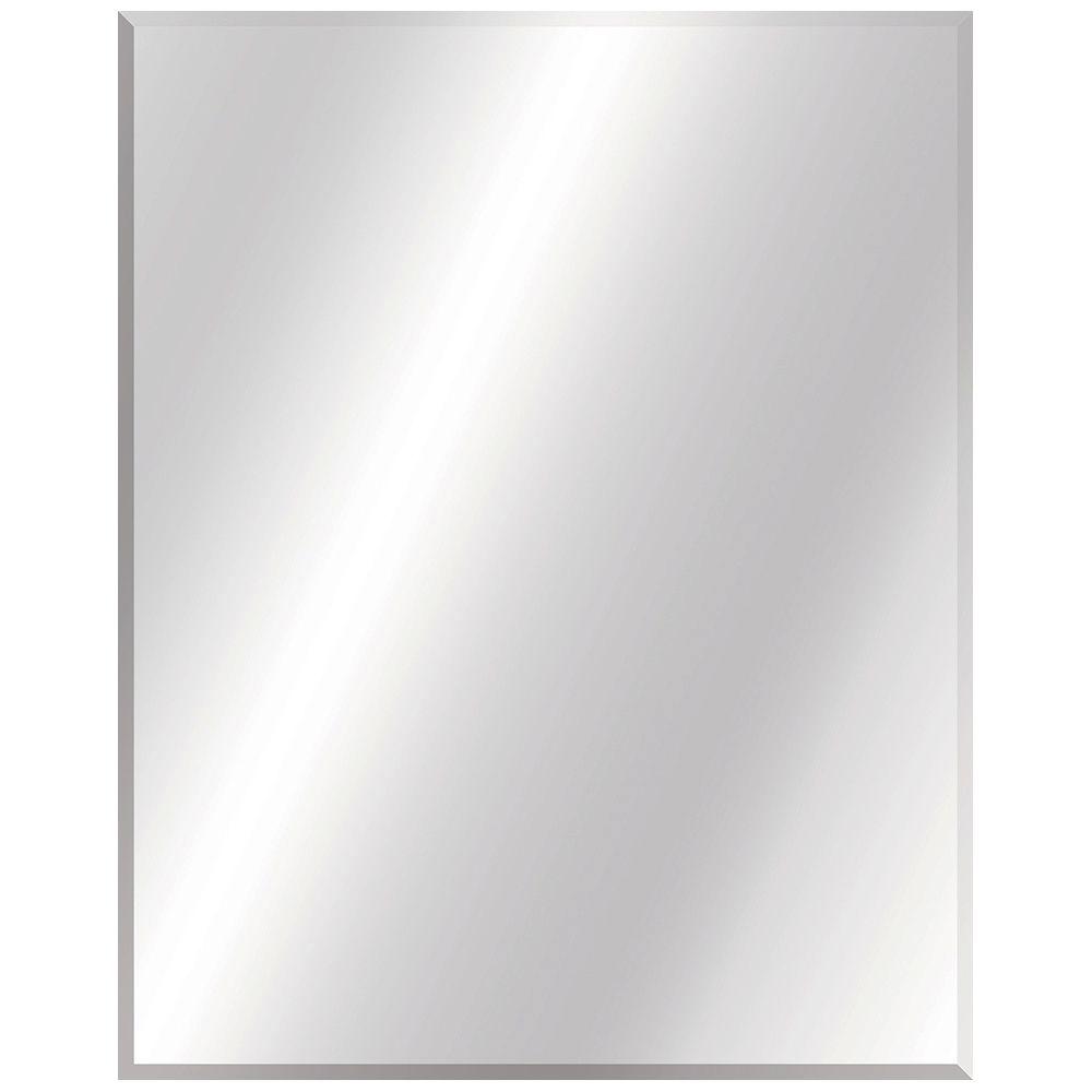 Glacier Bay 24 in. W x 30 in. L Beveled Edge Bath Mirror 