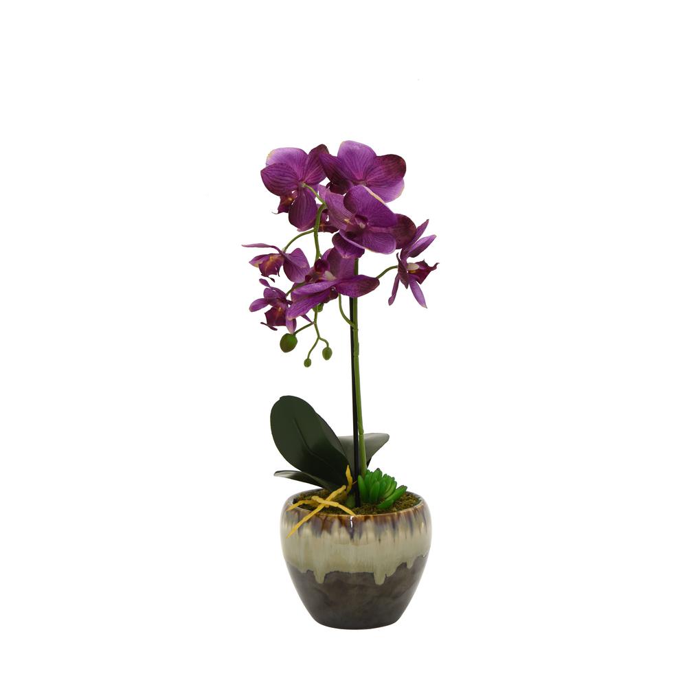Image result for purple flowers in pot
