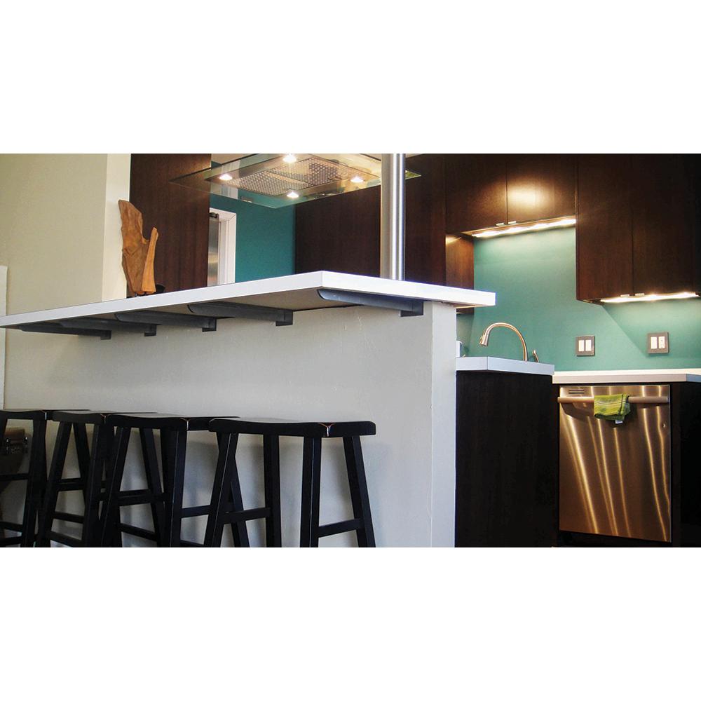 Federal Brace Carrier 20 In Stainless Steel Hidden Countertop