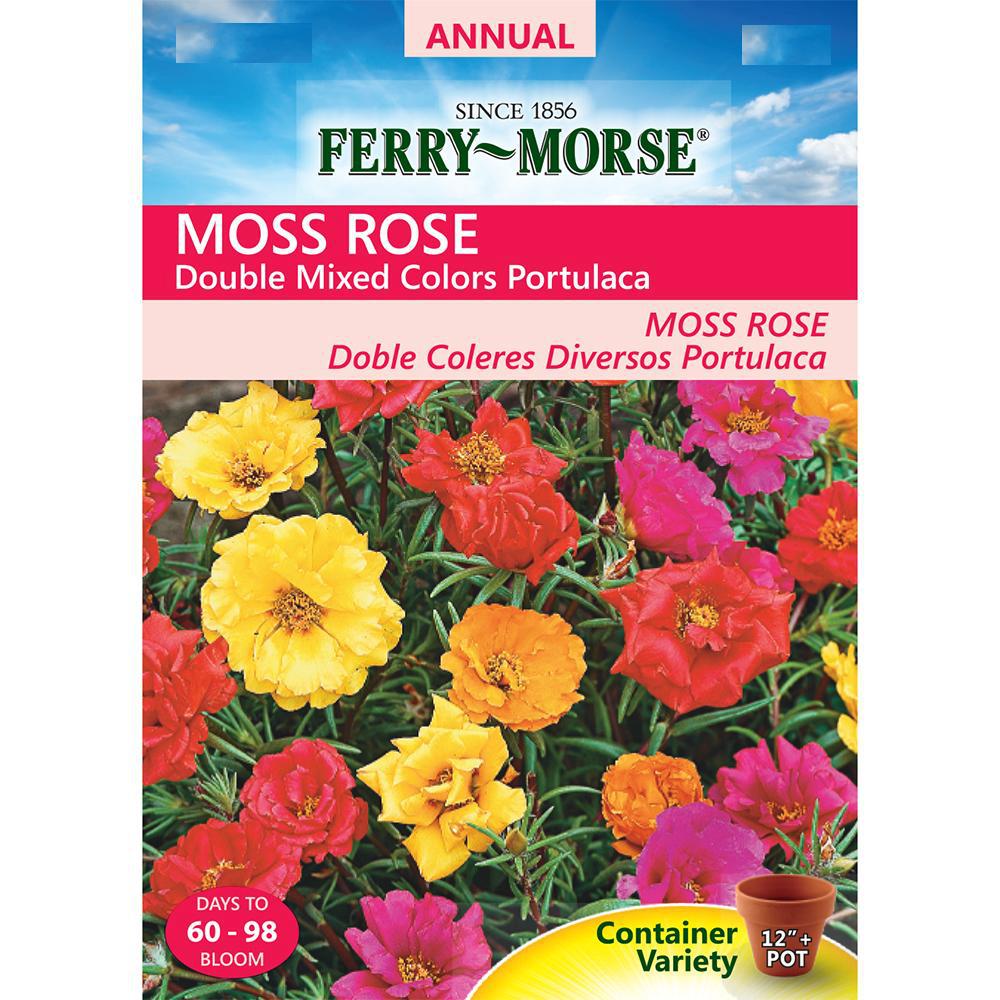 Ferry Morse Moss Rose Double Mixed Colors Portulaca Seed 6091 The Home Depot,Mancala Game
