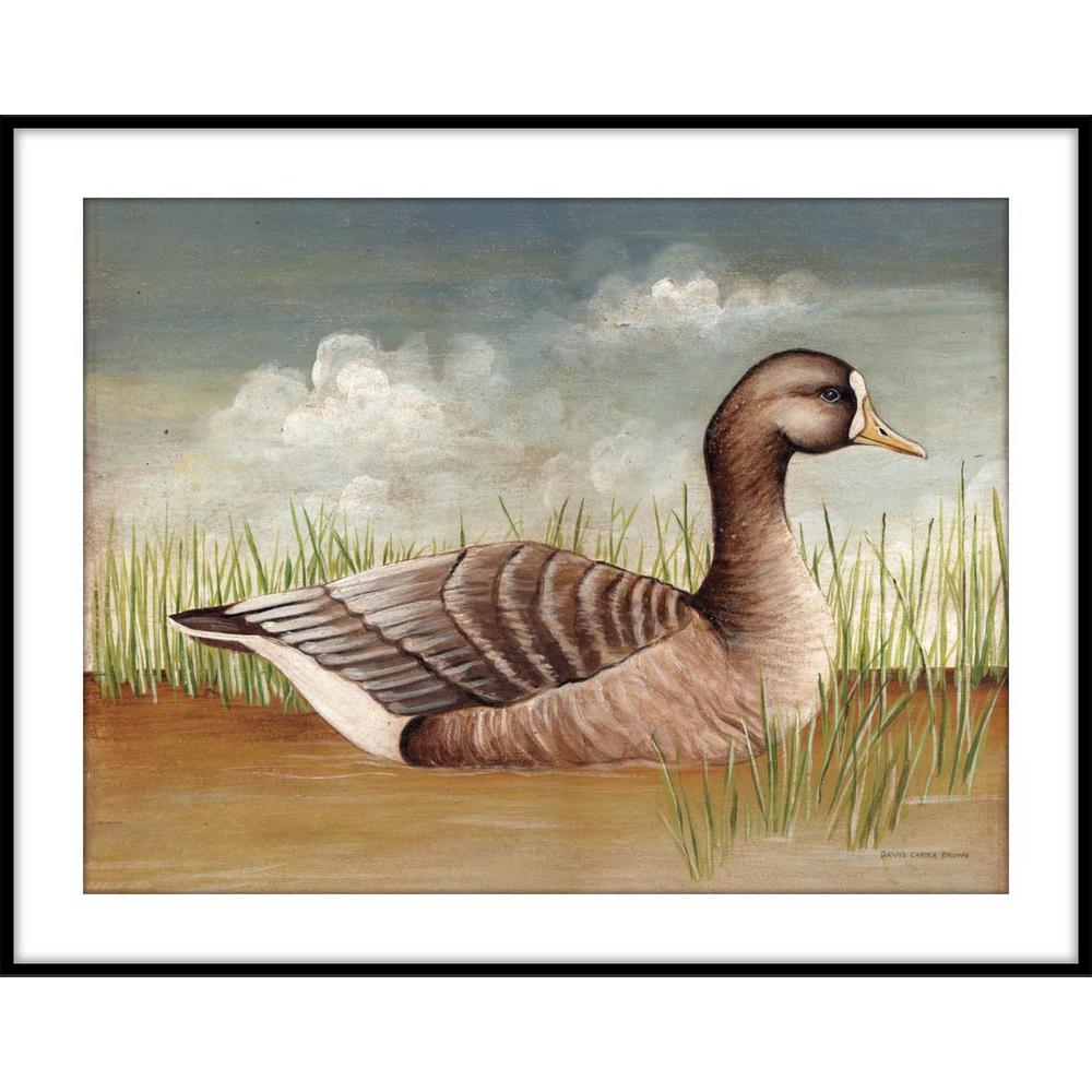 9 75 In X 11 White Fronted Goose Framed Wall Art