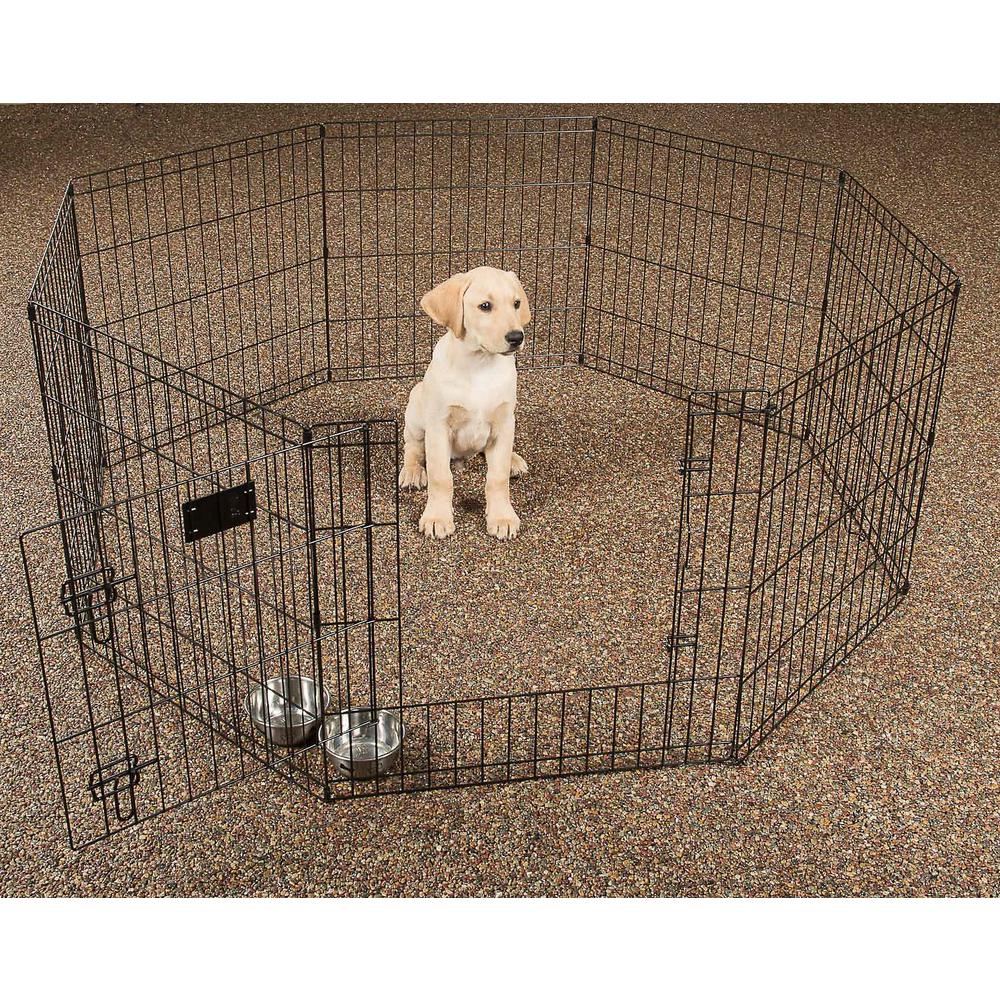 home depot dog exercise pen