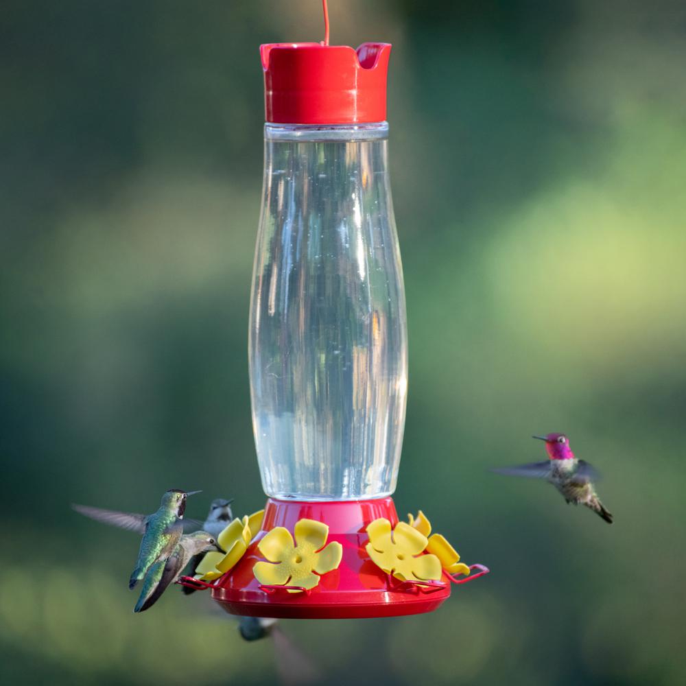 Perky Pet Grand Master Top Fill Glass Hummingbird Feeder 48 Oz Capacity 9204 6 The Home Depot