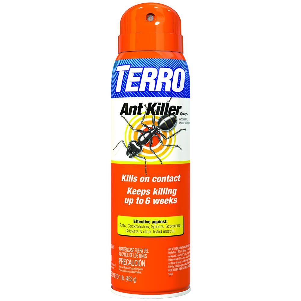 Terro 16 Oz Ant Killer Aerosol Spray T401 6 The Home Depot