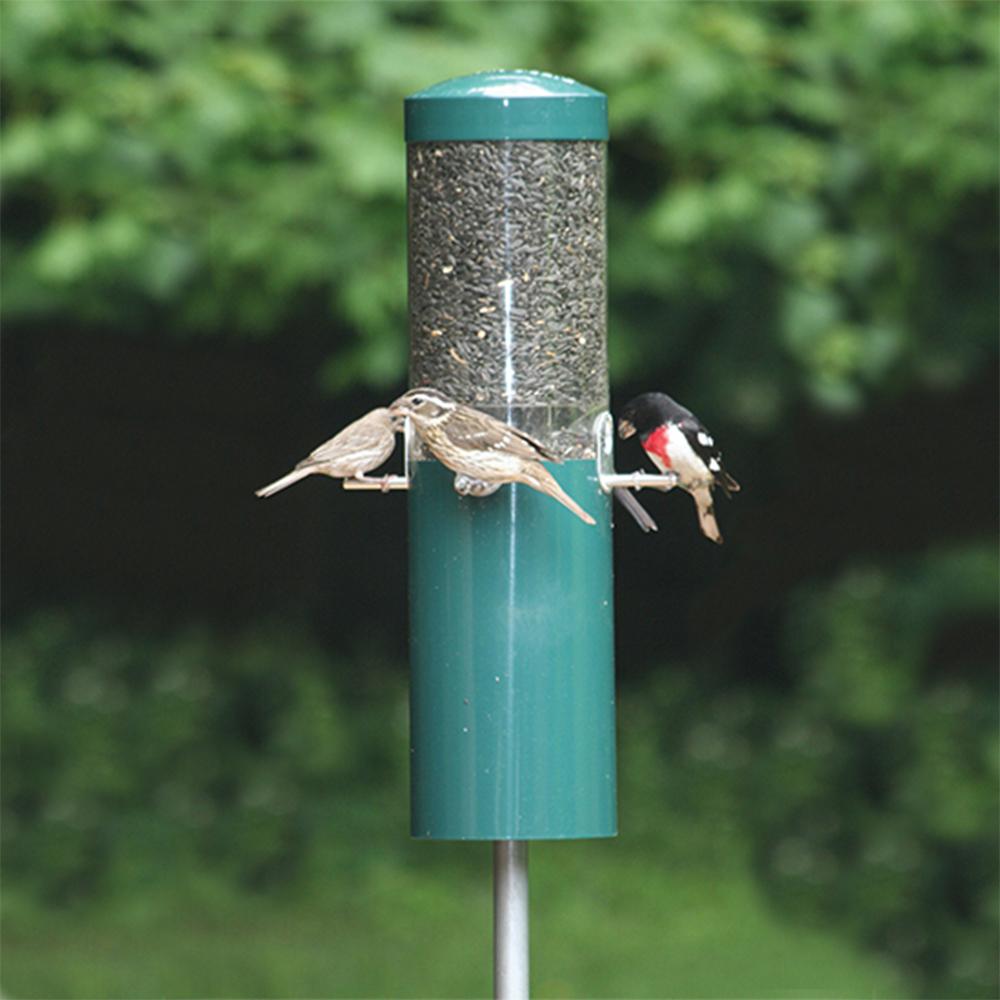 Birds Choice Classic Wild Bird Feeder With Squirrel Baffle By