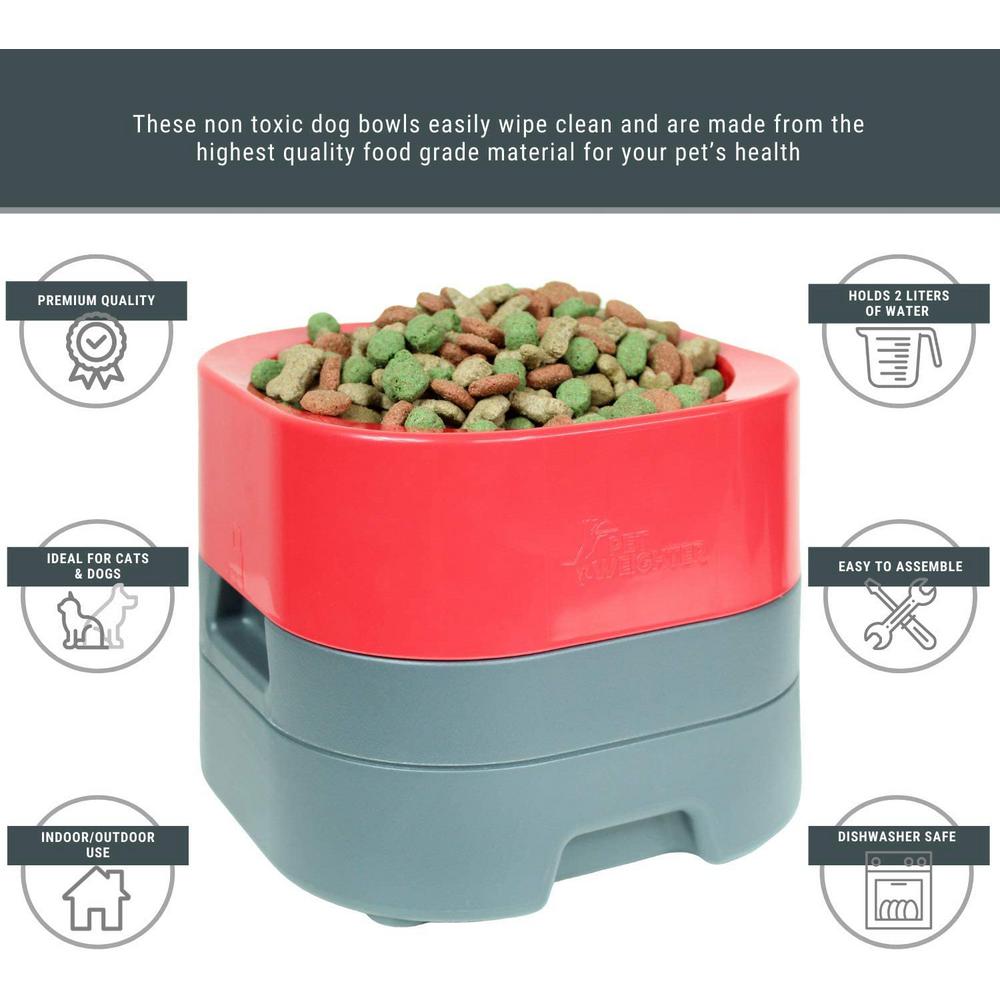 dog food at home depot