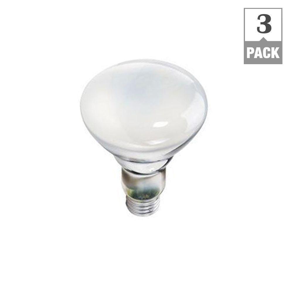 Philips 65Watt BR30 Incandescent Indoor Flood Light Bulb (3Pack