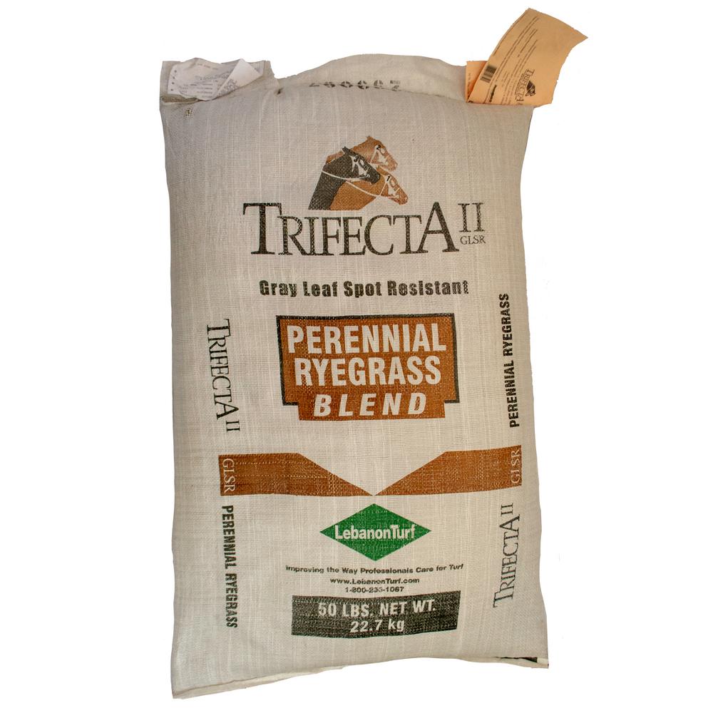 LESCO Double Eagle Turf Type Perennial Ryegrass Blend Seed018793 The
