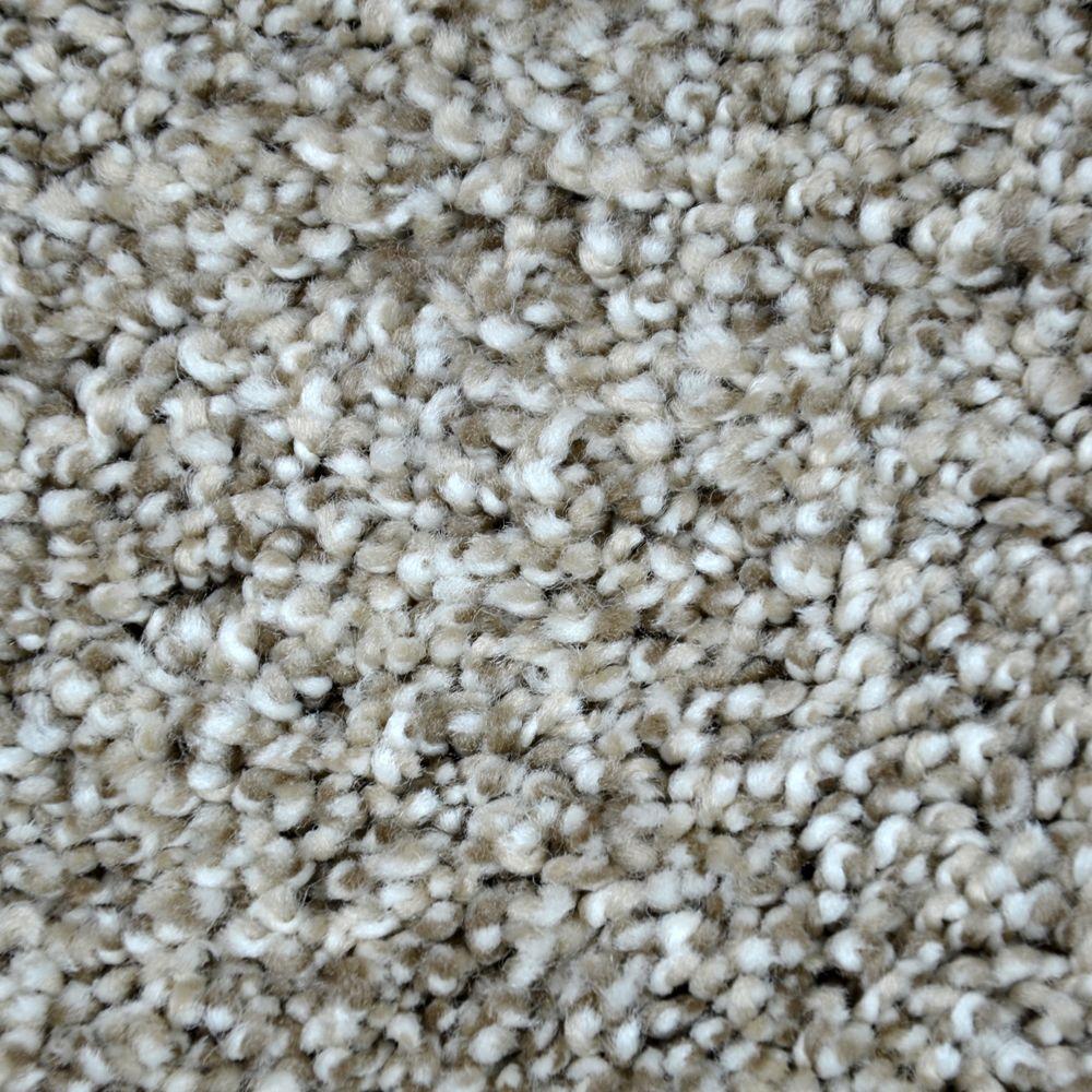 LifeProof Carpet Sample True Classic II Color Drayton Texture 8 in