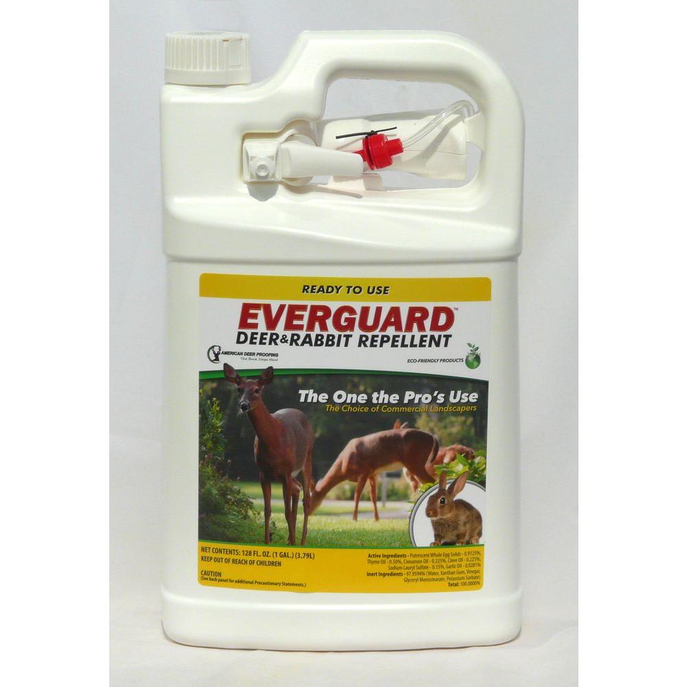 EverGuard 1 Gal. Ready-to-use Deer and Rabbit Repellent-ADPR128 - The