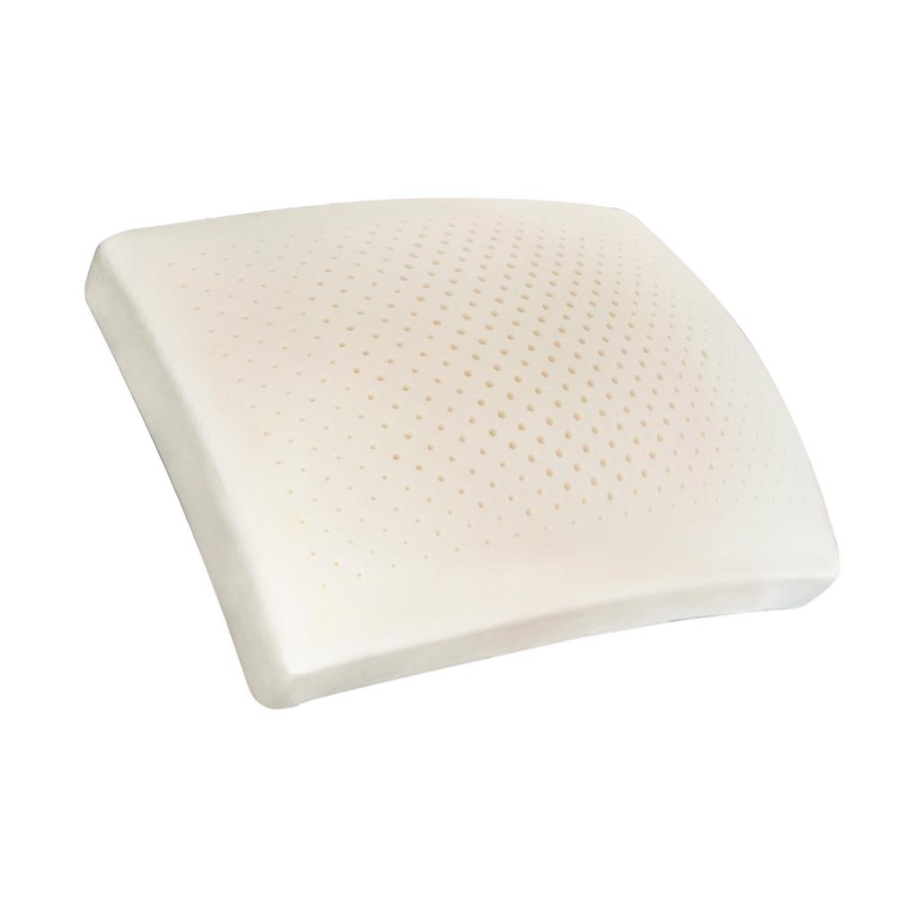 Isotonic Memory Foam Side Sleeper Pillow 031374521471 The Home Depot